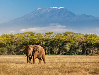 Tanzanie voyage sur mesure