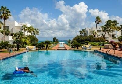 Piscine avec palmiers
